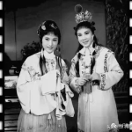 越剧红楼梦王文娟,王文娟演绎的红楼梦传奇人生