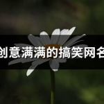 有创意的网名,打造独一无二的网络身份标识”