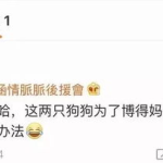 吃瓜娱乐ship,揭秘娱乐圈背后的故事与真相
