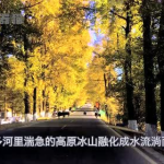娱乐吃瓜君地址,探寻娱乐圈幕后故事