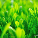 护眼壁纸桌面,护眼壁纸桌面攻略与精选推荐