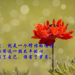 人生感悟的句子发朋友圈,精选语录，温暖你的朋友圈