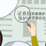 证券投资者保护基金,构建安全稳健的证券市场保障体系